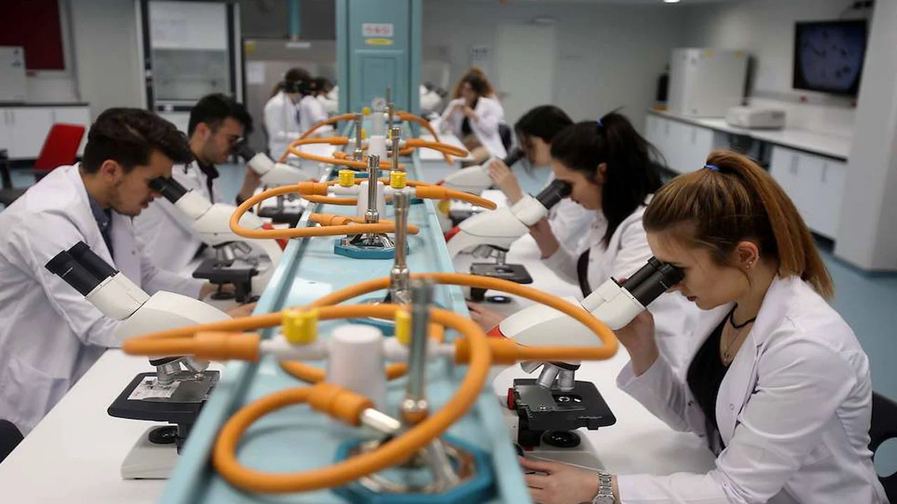 Üsküdar Üniversitesi COP31’e 18 çalışmayla katılıyor