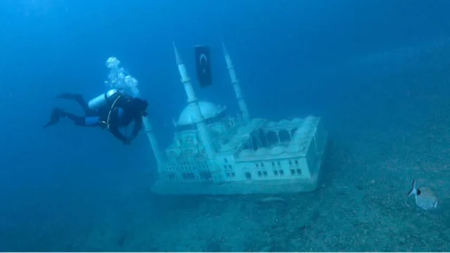 Saros Körfezi’ndeki yapay resifler yaşam alanı oldu