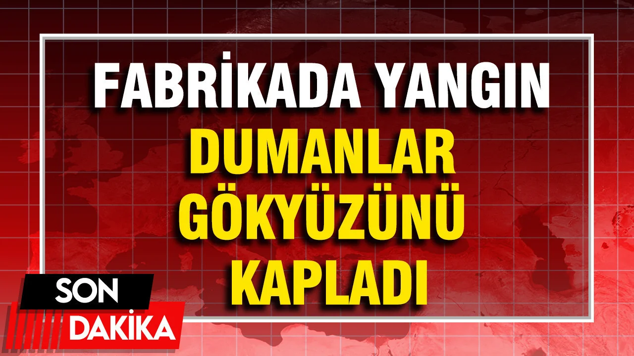 Tuzla’da ayakkabı fabrikasının çatı katında yangın: Ekipler müdahale ediyor