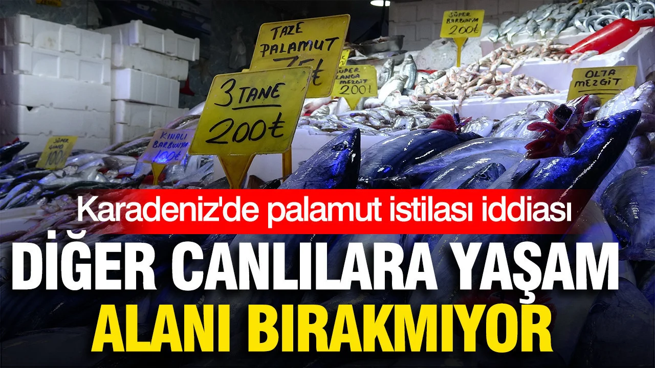 Diğer canlılara yaşam alanı bırakmıyor